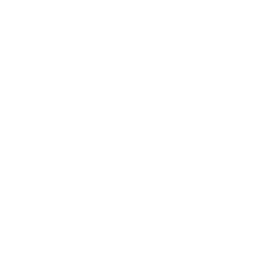 Apple WHITE
